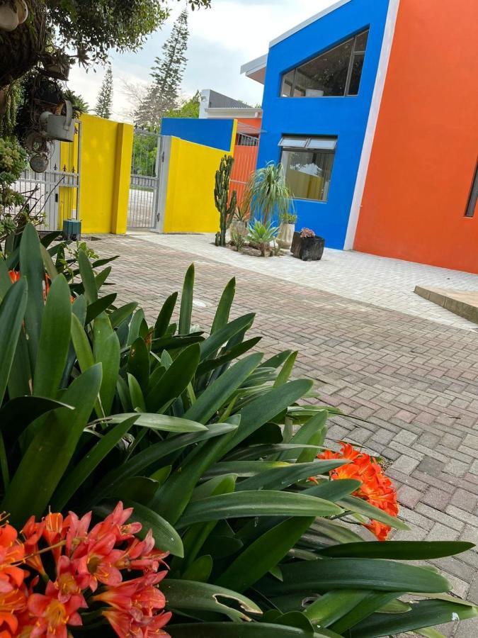 Studio 7 On Risa Port Elizabeth Exteriör bild